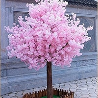 cherry blossom 様 51wVMN6-+1L._QL92_SH45_SS200_.jpg